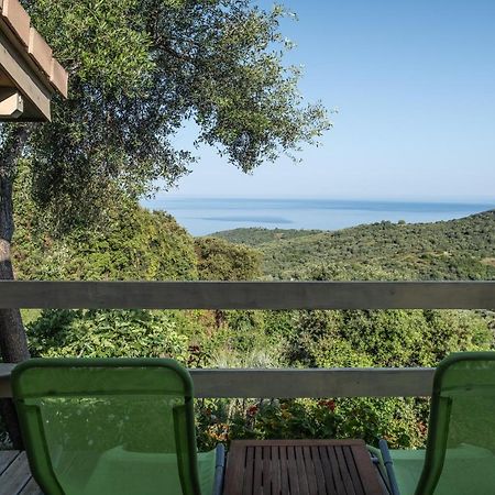 Les Terrasses De Scaglioli Villa Villanova Eksteriør bilde