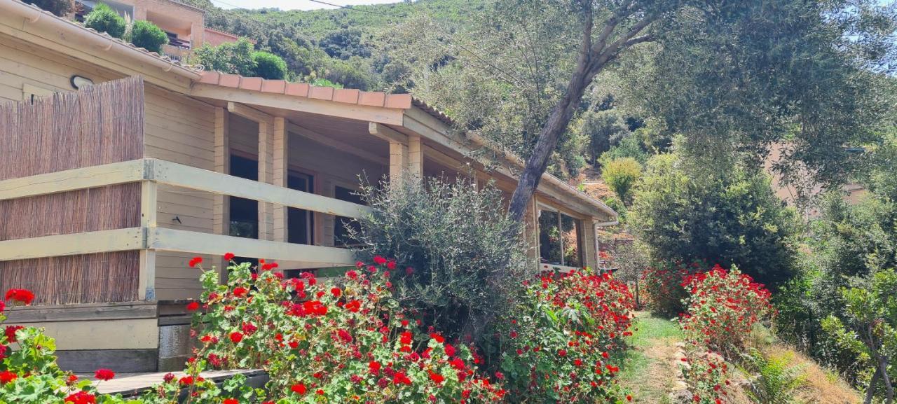 Les Terrasses De Scaglioli Villa Villanova Eksteriør bilde