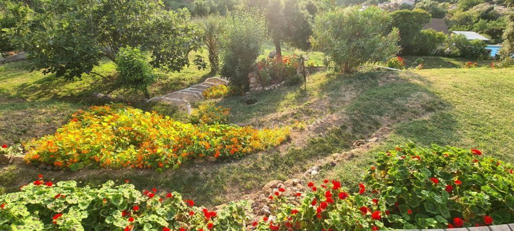 Les Terrasses De Scaglioli Villa Villanova Eksteriør bilde