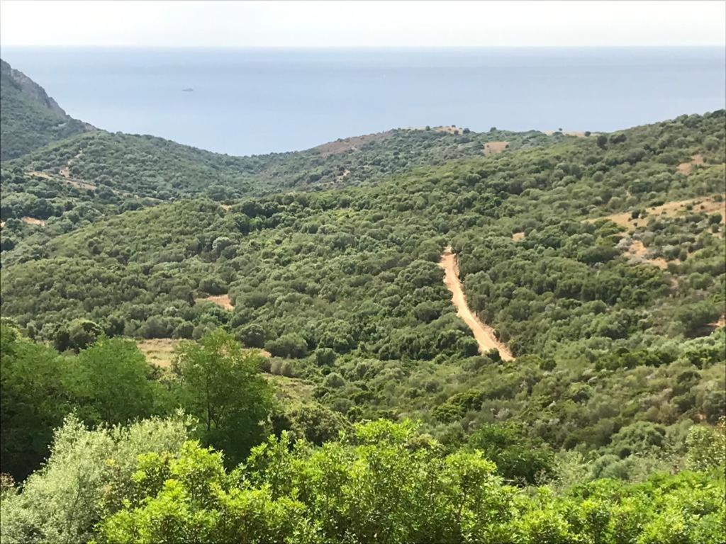 Les Terrasses De Scaglioli Villa Villanova Eksteriør bilde