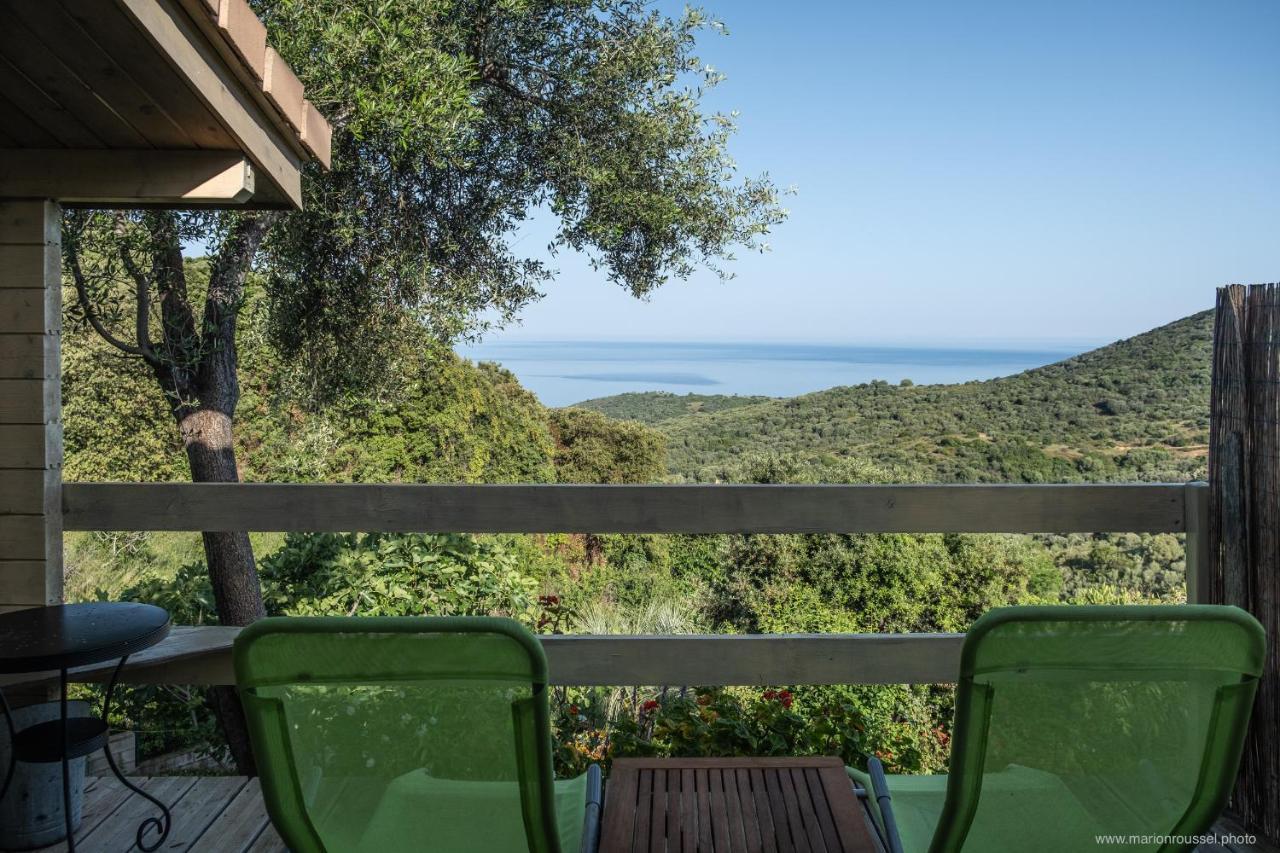 Les Terrasses De Scaglioli Villa Villanova Eksteriør bilde