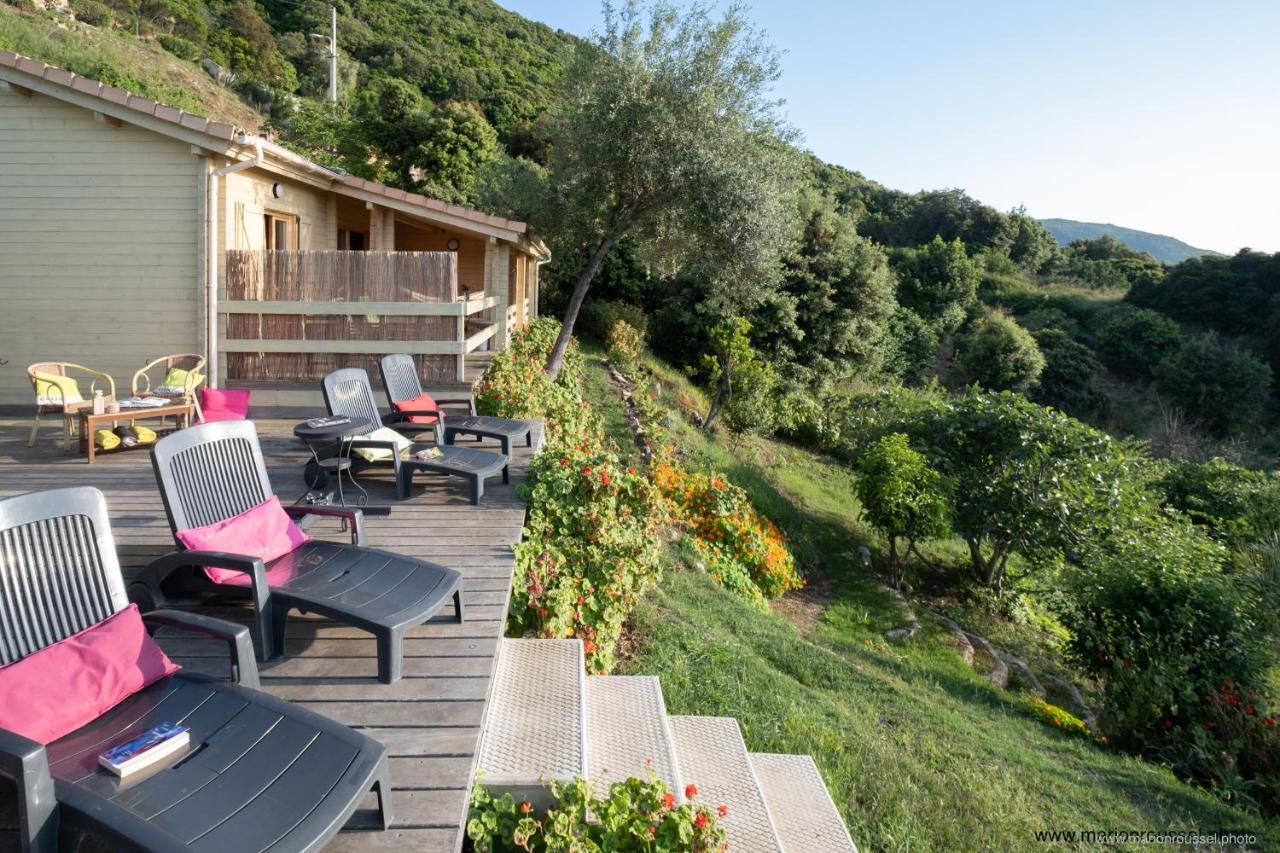 Les Terrasses De Scaglioli Villa Villanova Eksteriør bilde