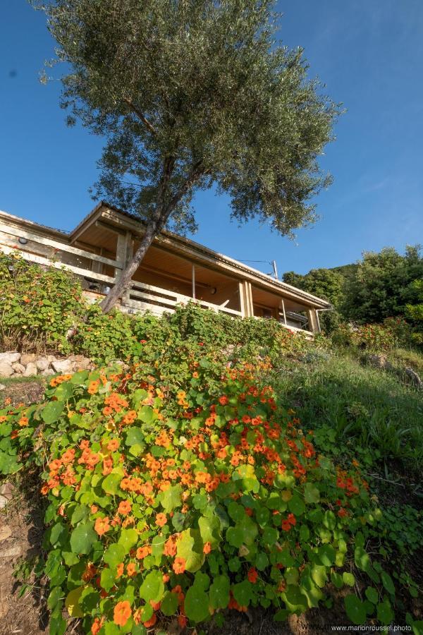 Les Terrasses De Scaglioli Villa Villanova Eksteriør bilde